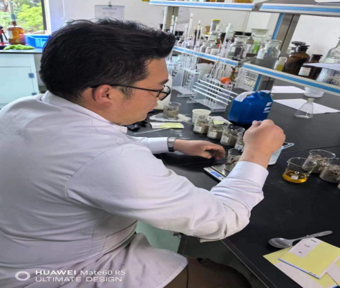 滇鹰生态建设集团大宗工业固体废物磷石膏减害化技术取得突破